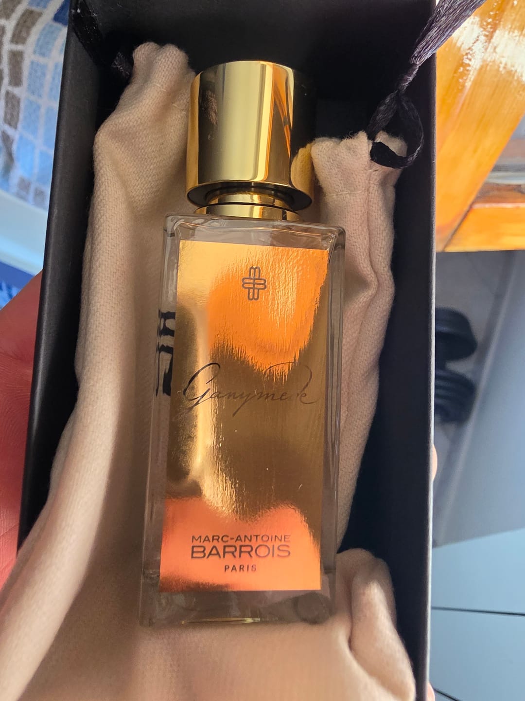 Customer photo review of MARC-ANTOINE BARROIS - GANYMEDE