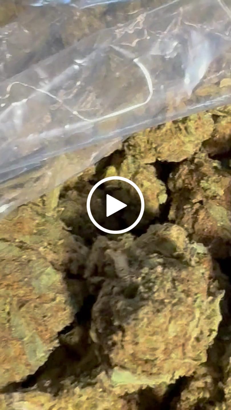 Customer video review of Butterscotch OG - Bulk - Indica