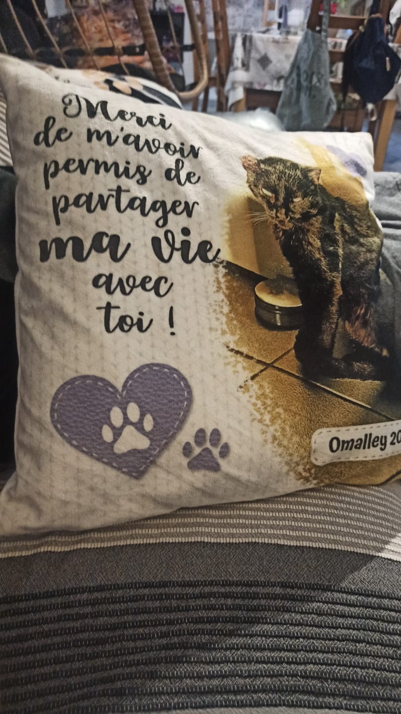 Customer photo review of Merci - Coussin personnalisé
