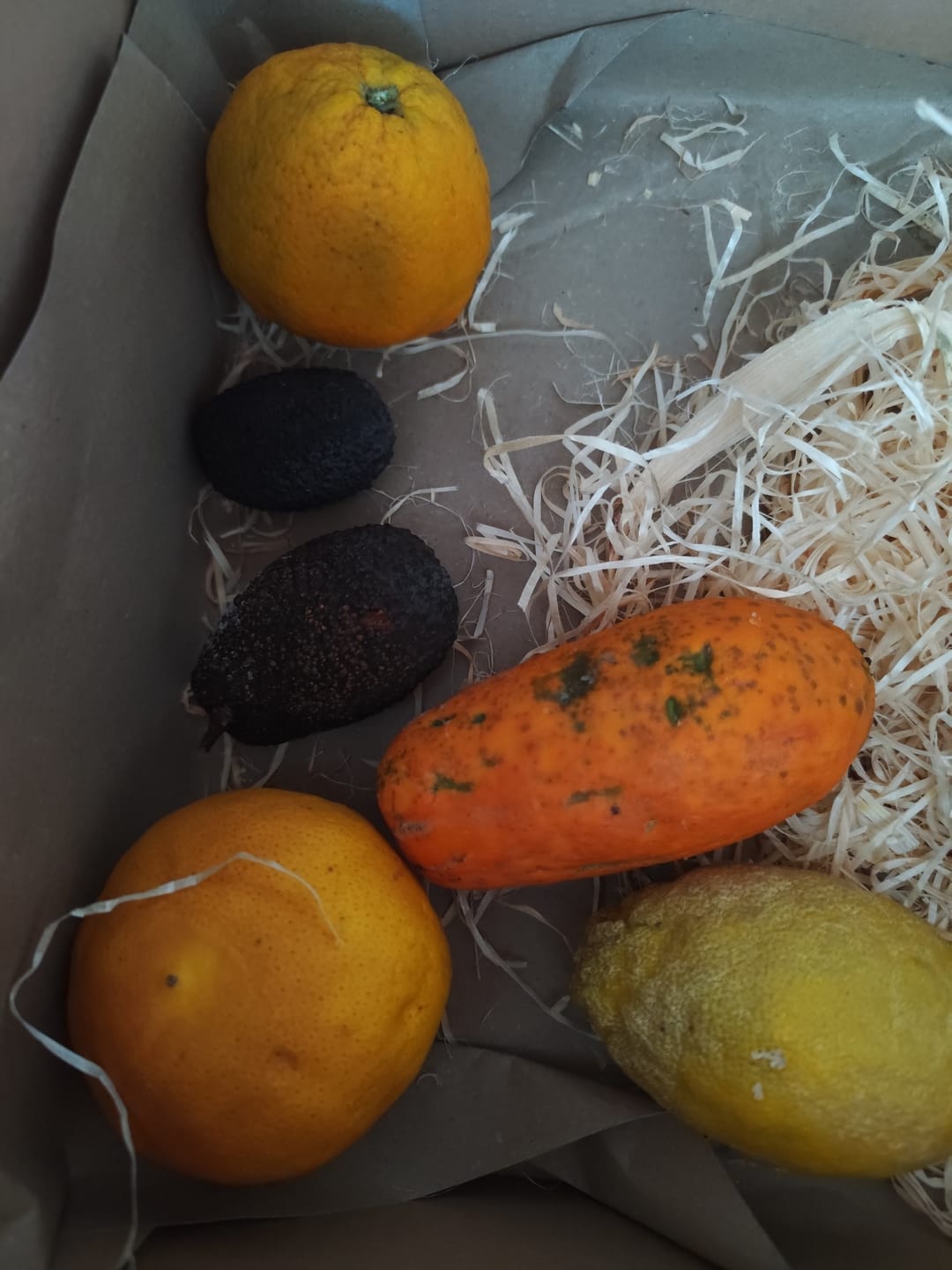 Customer photo review of Bio Obst & Gemüse Retterbox 5kg
