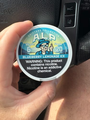 Customer photo review of Chilled Mint Nicotine Pouches