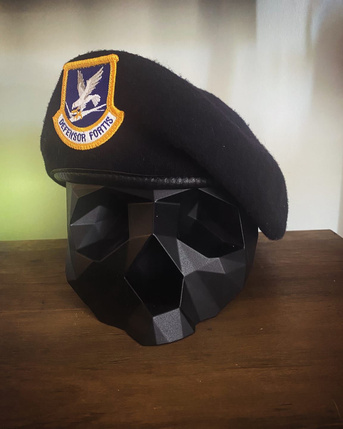 Customer photo review of Black Skull Stand