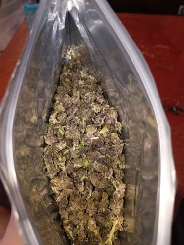 Customer photo review of Light Assist THCA Smalls