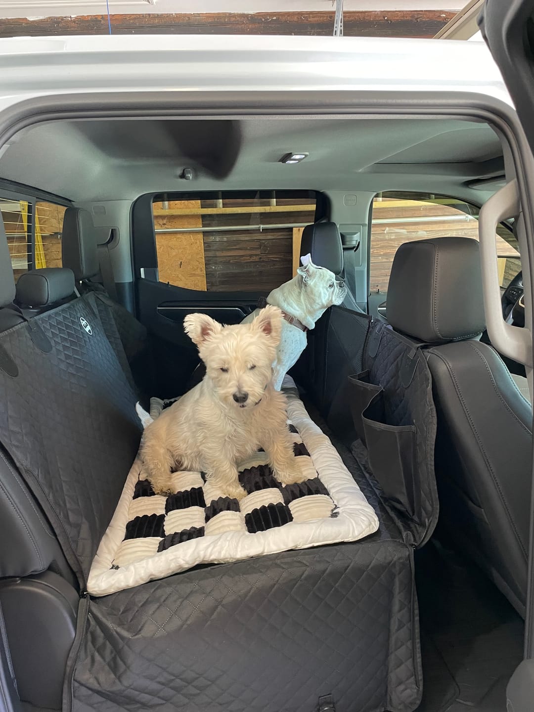 Customer photo review of NEW Waterproof Hard Bottom Car & Truck Seat Foldable Hammock Cover With Storage Pockets, Side Flaps, Headrest Straps, Seat Anchors, & Mesh Window (+FREE SAFETY BELT!)