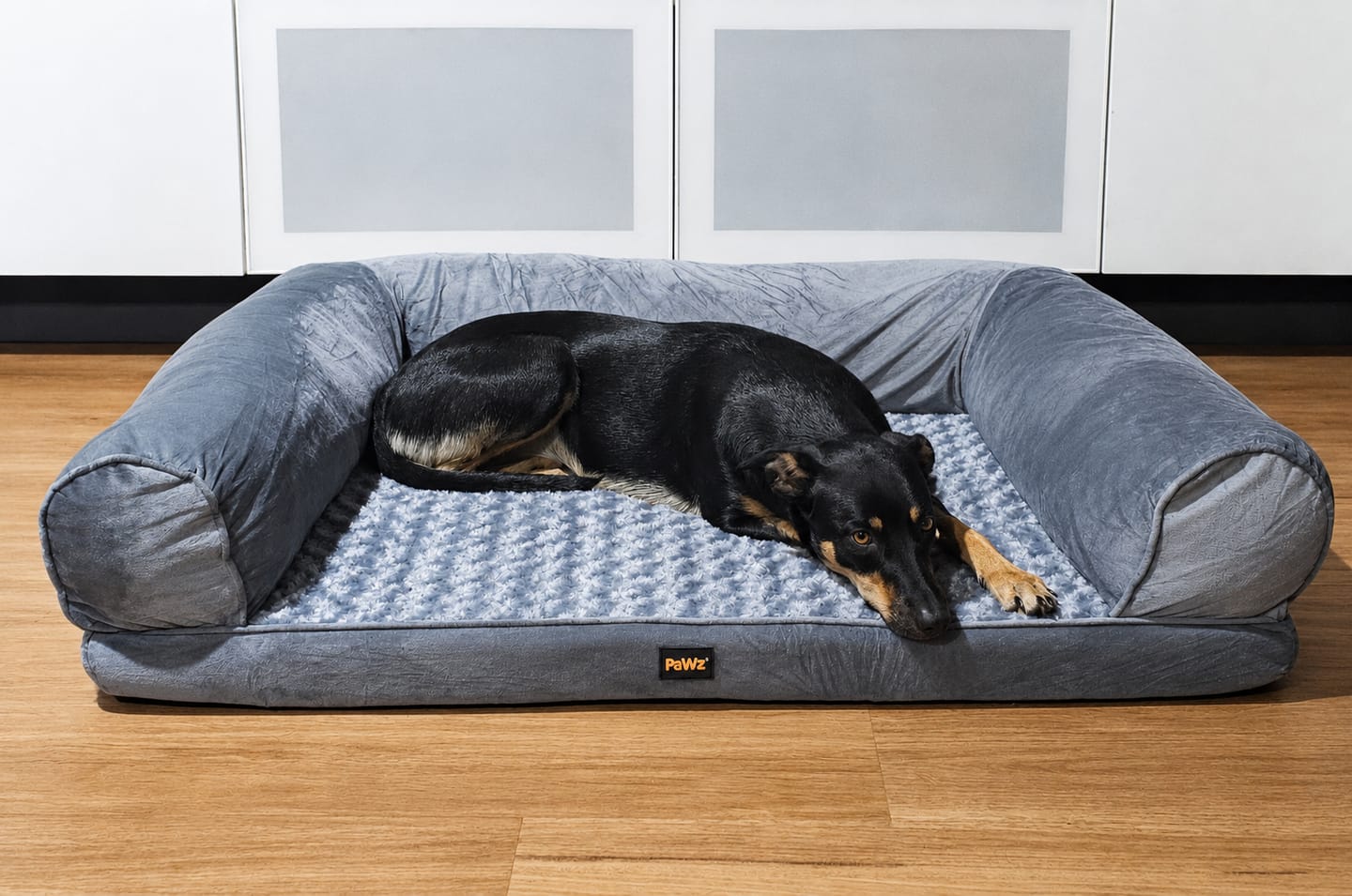 Customer photo review of Pet Sofa Bed