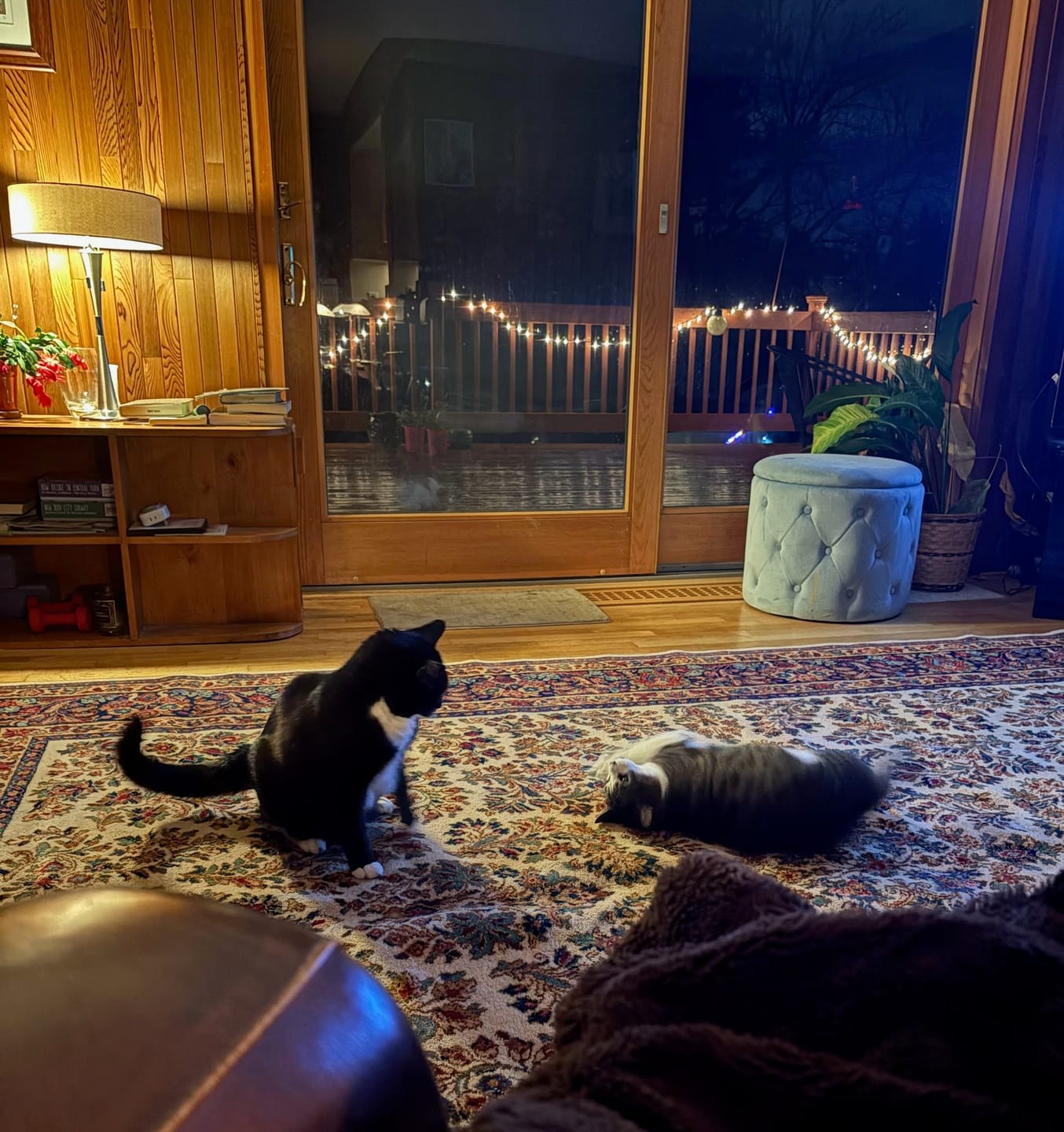 Customer photo review of 8.8 x 12 Karastan Ivory Sarouk Rug #760, Wool Pile, Vintage, Original 700 Series