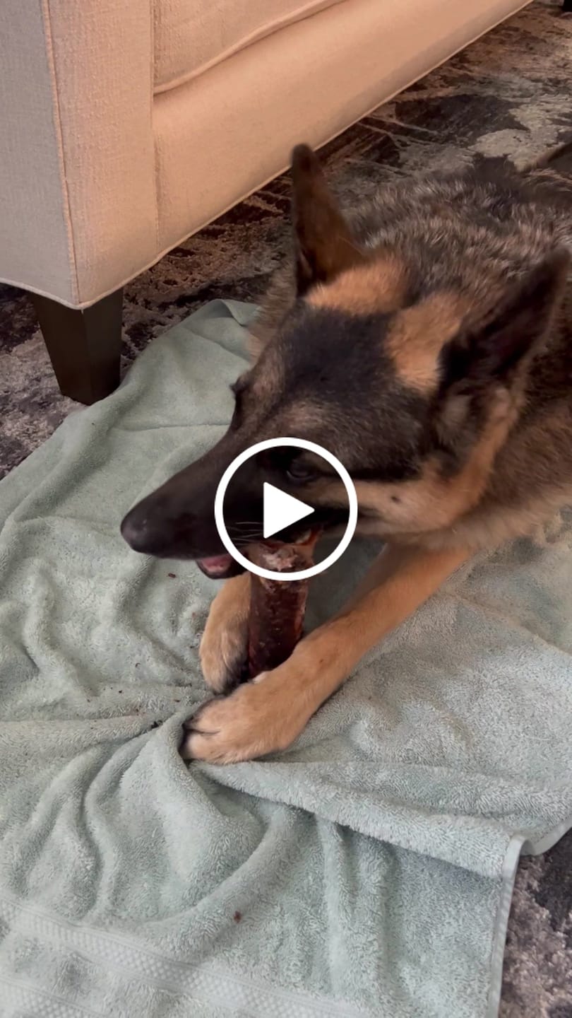 Customer video review of Smoked Beef Marrow Bone