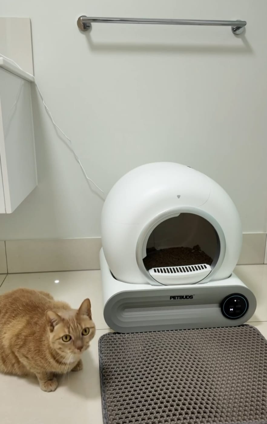 Customer photo review of Petbuds™ Pro 2026 Automatic Self-Cleaning Litter Box