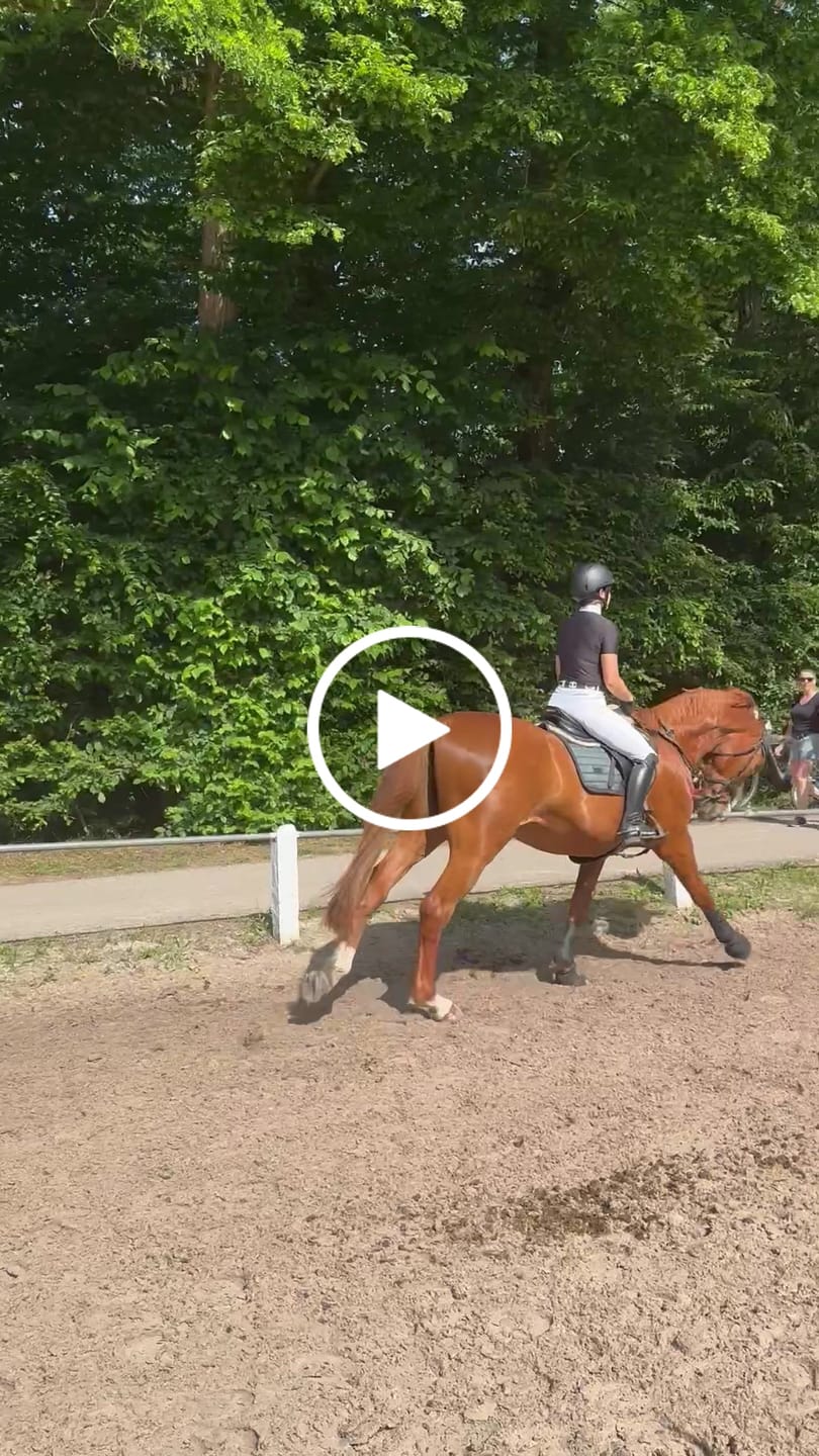 Customer video review of Bella Reithose Full-Grip