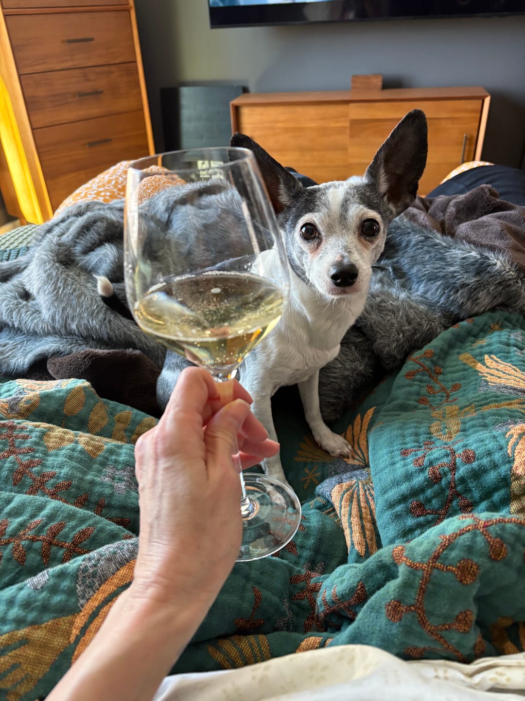 Customer photo review of Blanc de Blanc Sparkling