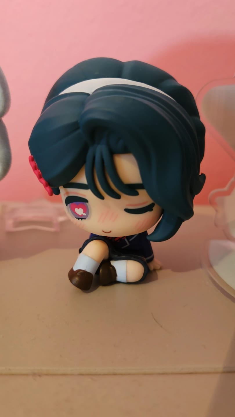 Customer photo review of 【Pre-Order】Alien Stage - Anat High School Series - Blind Box