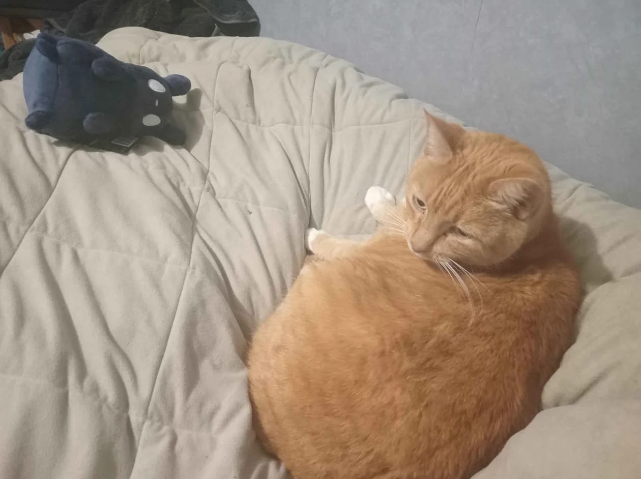 Customer photo review of Rain World - The Watcher Slugpup Plush