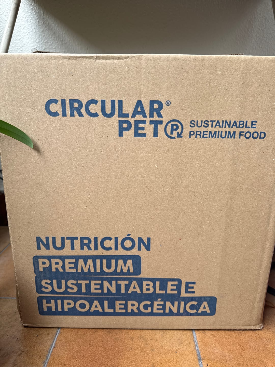 Customer photo review of Alimento hipoalergénico para perros | Circular Pet® proteína de insectos