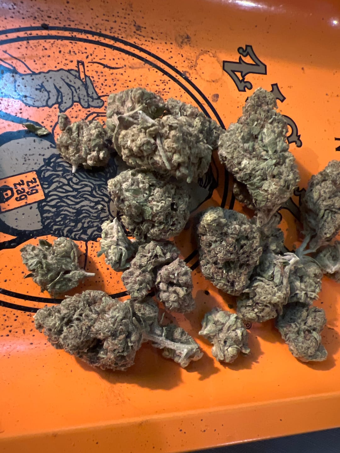 Customer photo review of Cookies and Cream - Bulk - Hybrid