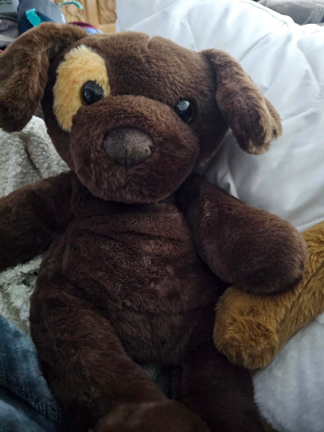 Customer photo review of (pre-order) Verzwaringsknuffel Hond 2,2 kg + Gratis Pittenzakje