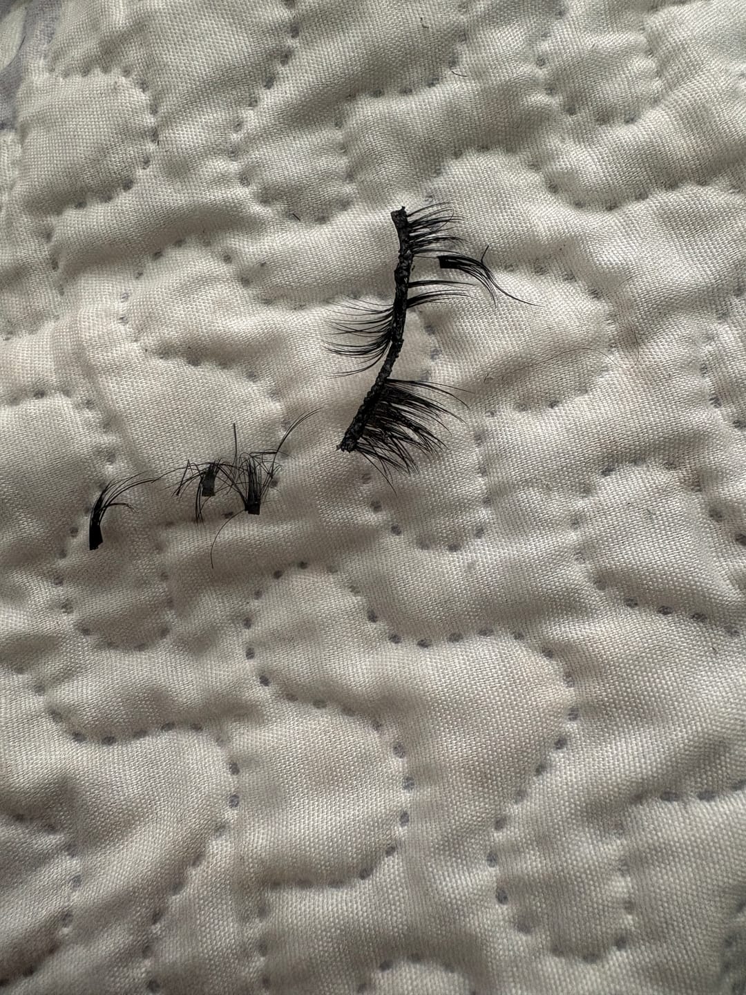 Customer photo review of PESTAÑAS POINT COLLECTION