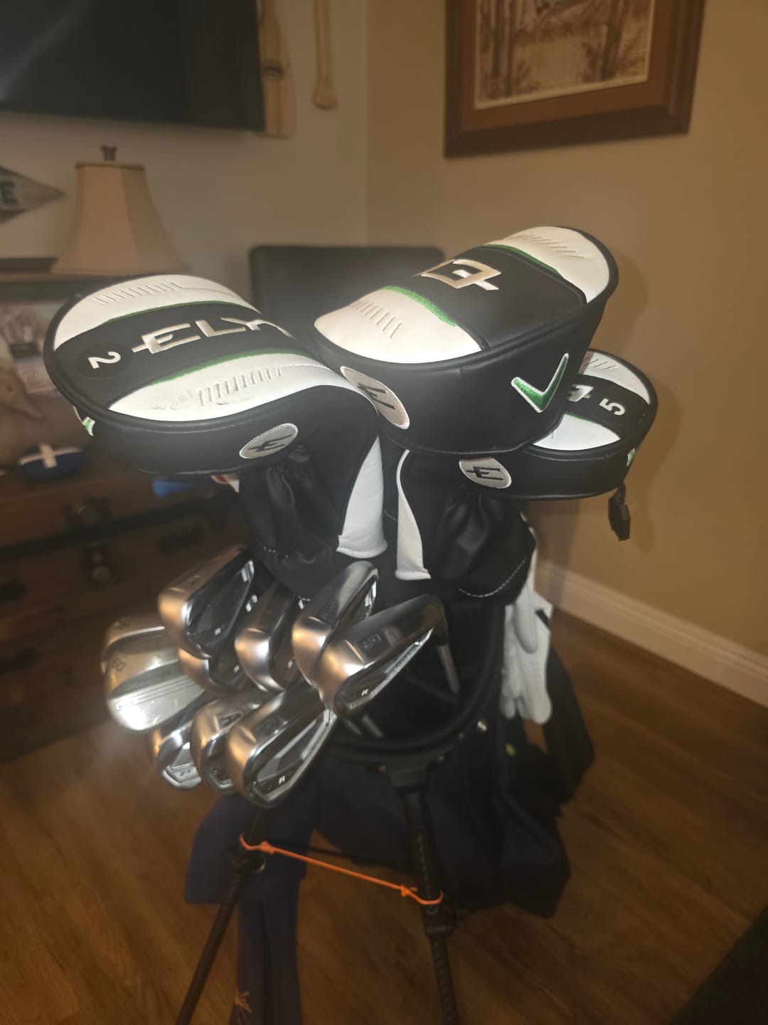 Customer photo review of Hudson Looper Golf Bag 2.0