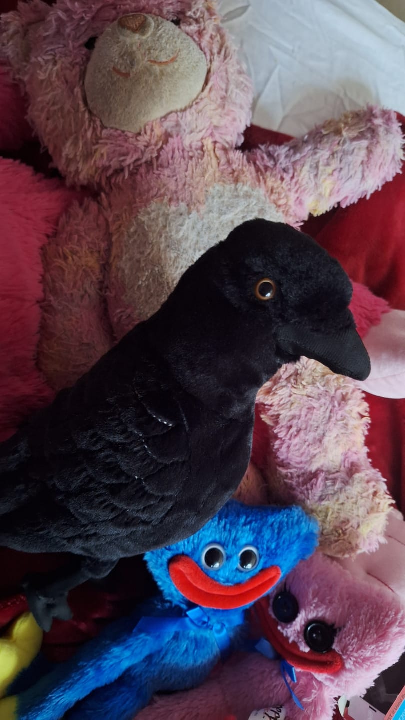 Customer photo review of American Crow Plush - Realistic and Soft Stuffed Animal for Bird Lovers