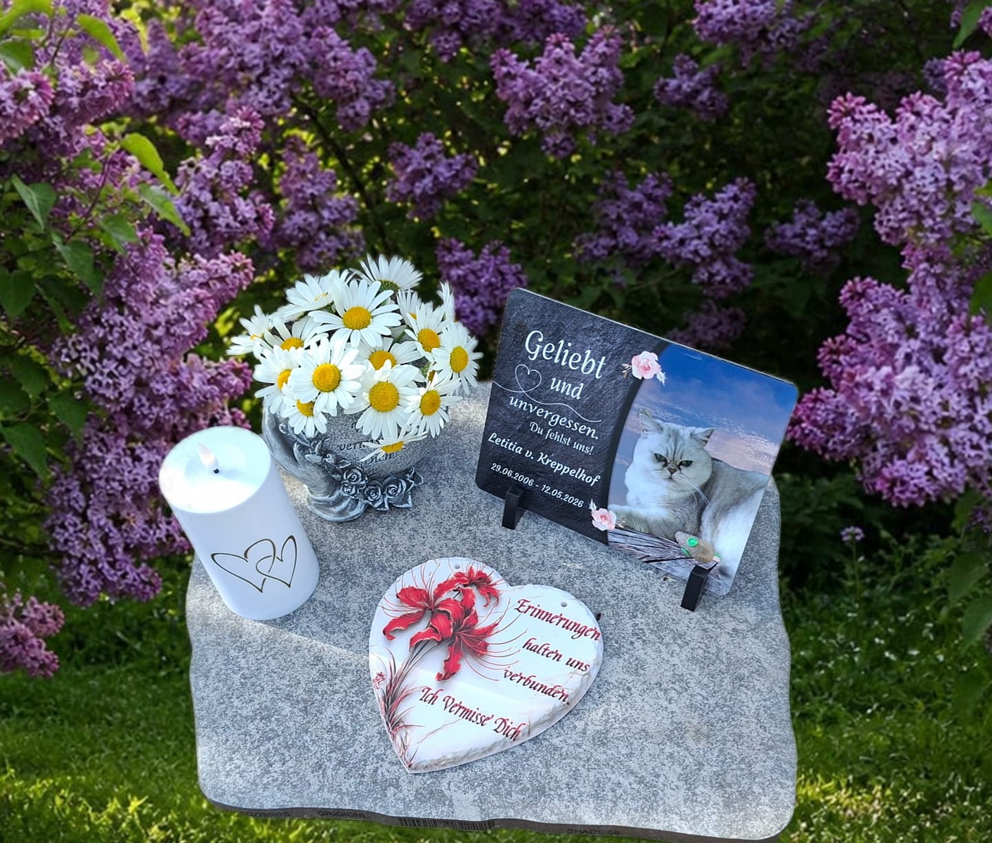Customer photo review of Katzen Gedenktafel mit Foto & Spruch (UV- & Wetterfest)