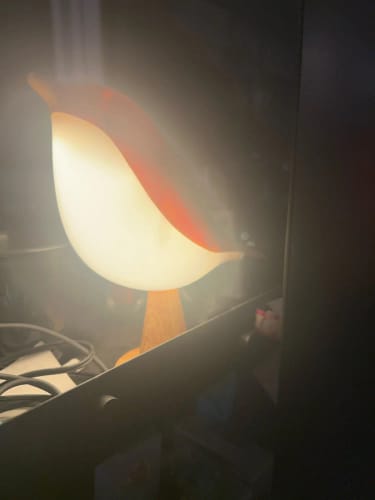 Customer photo review of Glow Bird