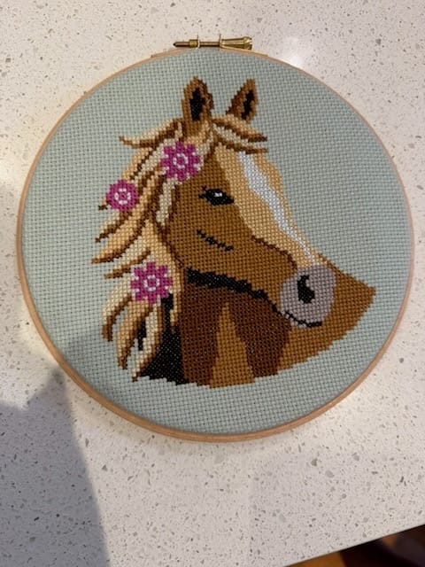 Customer photo review of Penny the Pony - Cross Stitch Kit