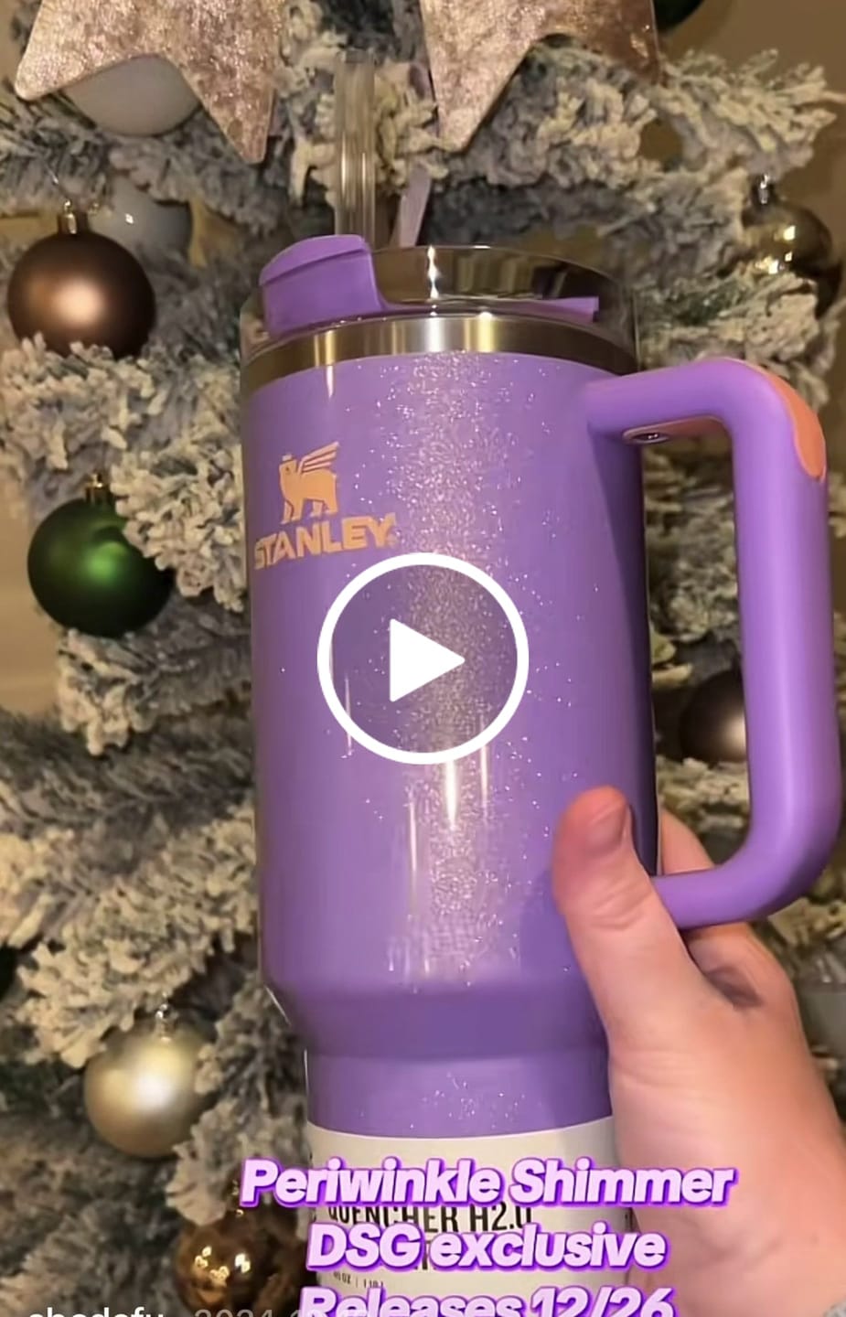 Customer video review of Quencher H2.0 Adventure Periwinkle Shimmer | 1.18 lt