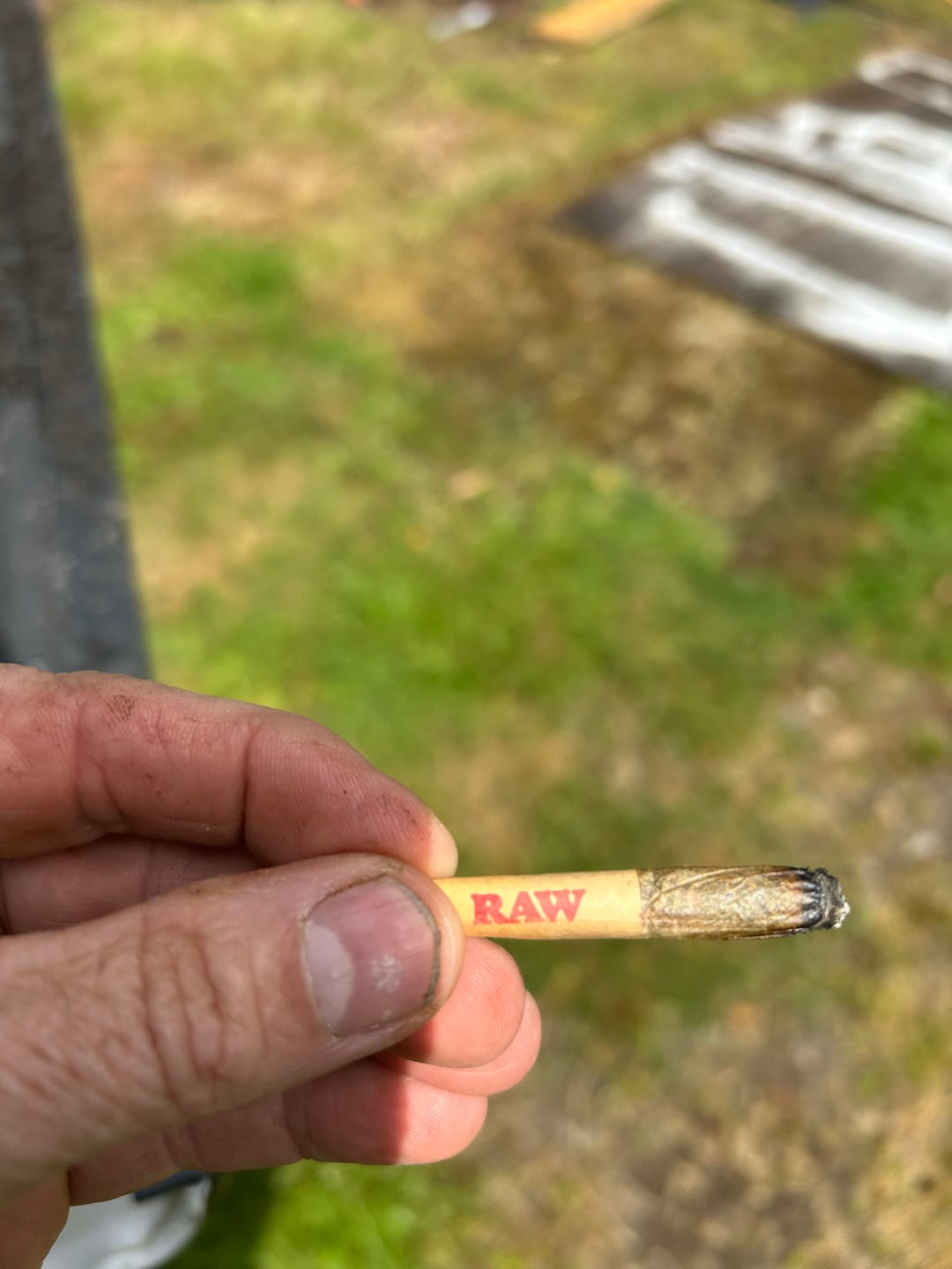 Customer photo review of RAW Dogwalker Mini Pre Roll Cones