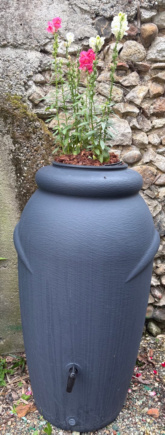 Customer photo review of Regentonne Amphore – 210, 360 oder 440 Liter für nachhaltige Gartenbewässerung