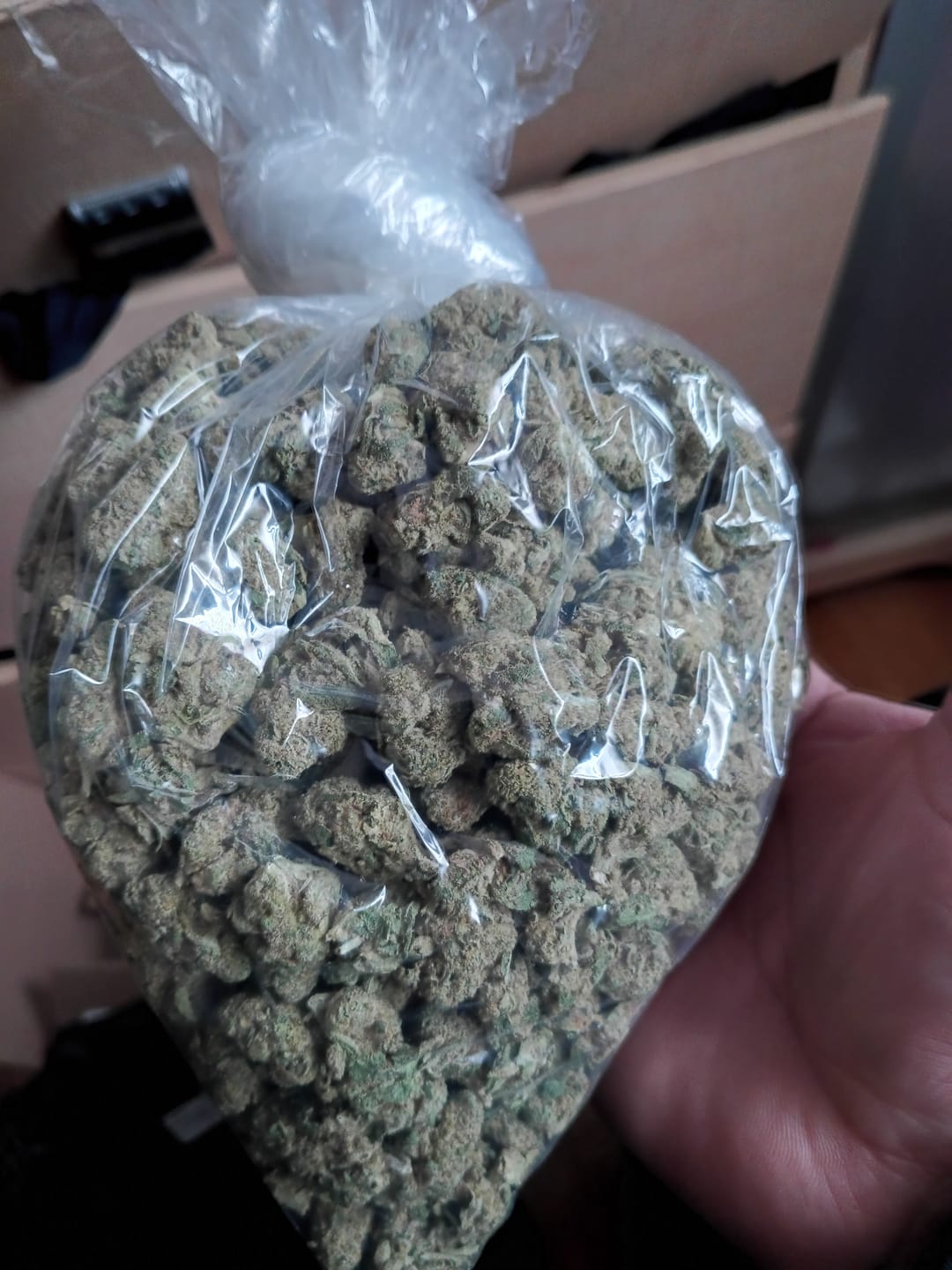 Customer photo review of Grape Soda - Bulk - Sativa