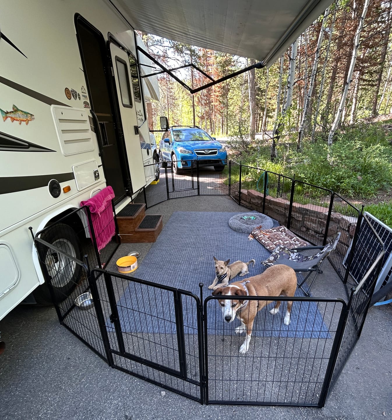Customer photo review of Instant Dog Playpen – Quick Setup for RV Camping