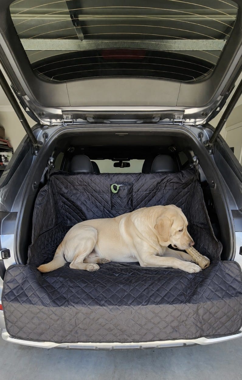 Customer photo review of Marlo&Co™ Dog Boot Cover
