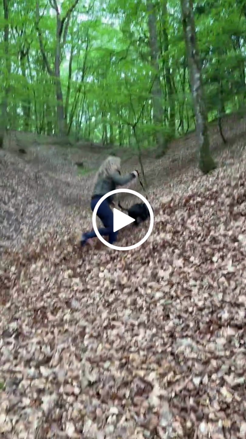 Customer video review of FeelFree Dog Walker Tights 2.0 I Navy I Tessa