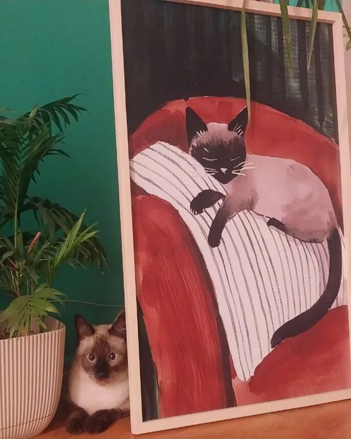 Customer photo review of Kedi Portre XIII - Siyam