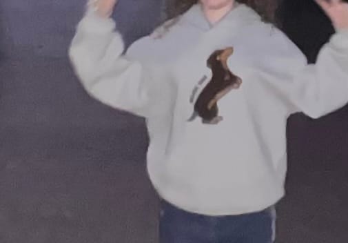 Customer photo review of Aelfric Eden Dachshund Pullover Hoodie