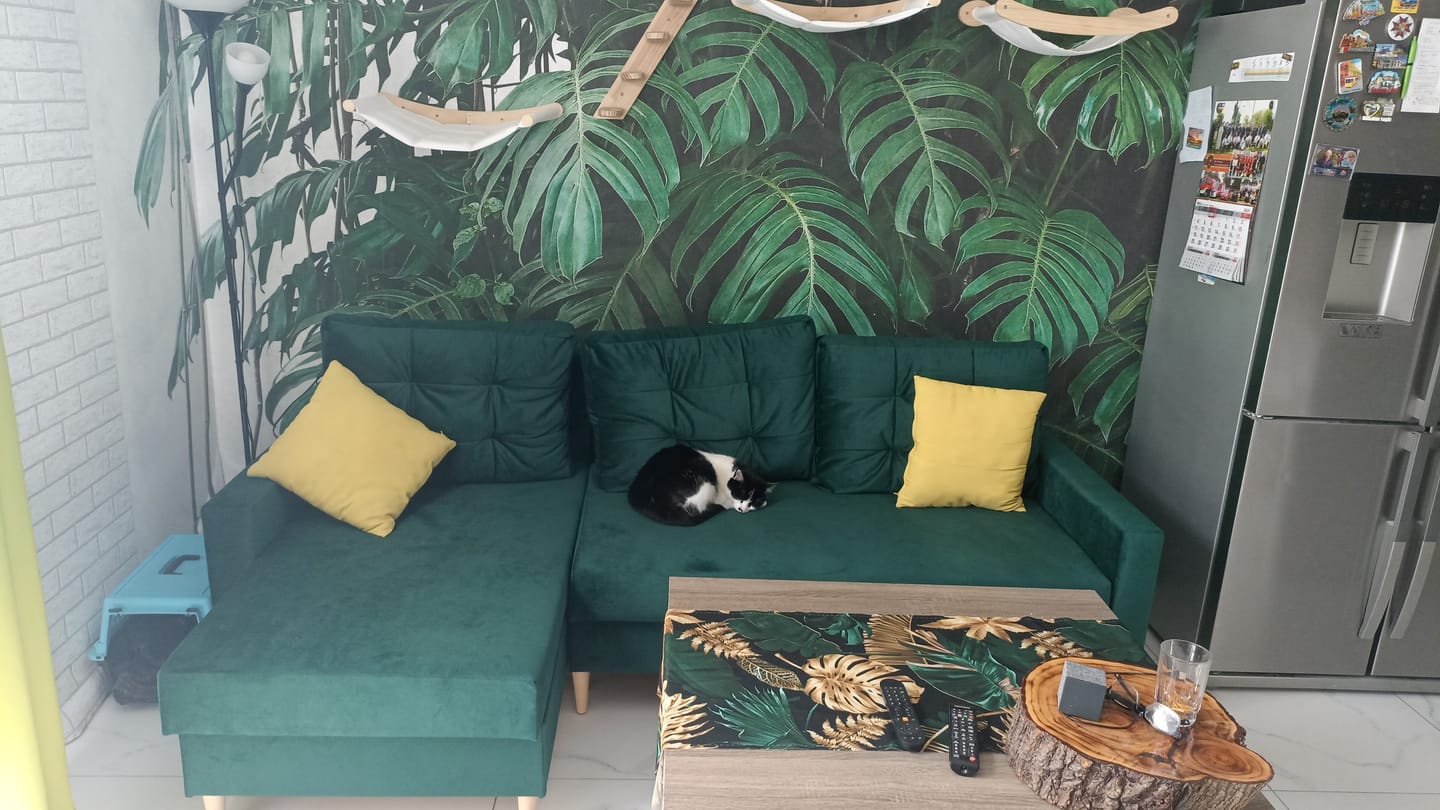 Customer photo review of Narożnik BLANK velvet