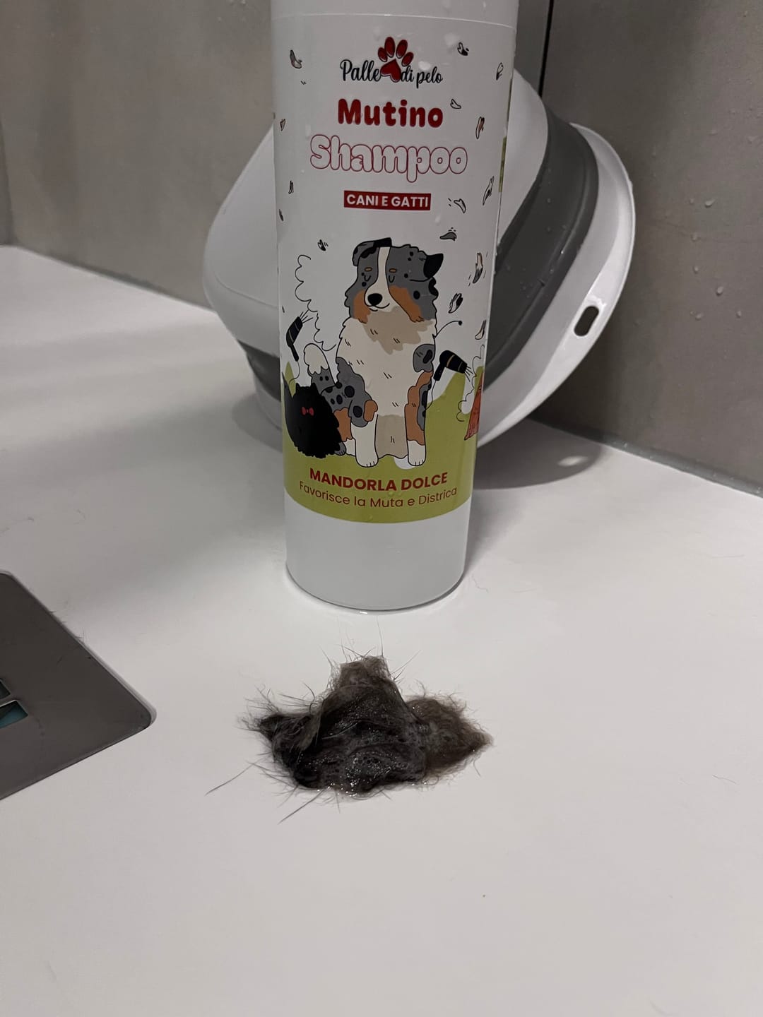Customer photo review of MUTINO, shampoo cani e gatti sbrogliante e perdita muta