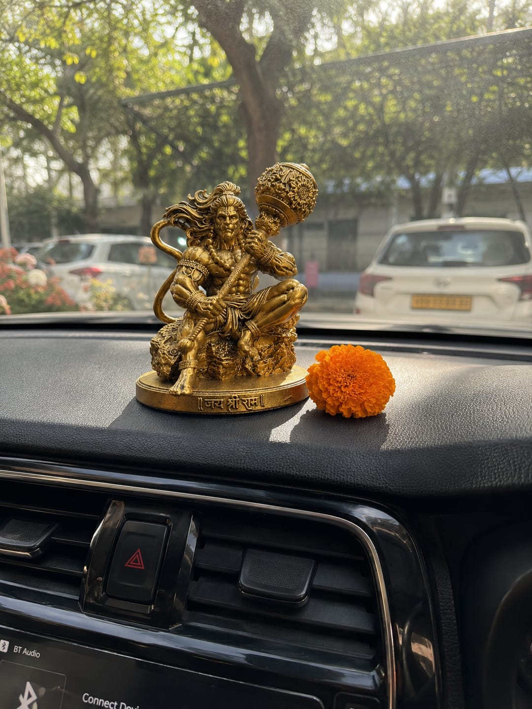 Customer photo review of Lord Mahabali Hanuman