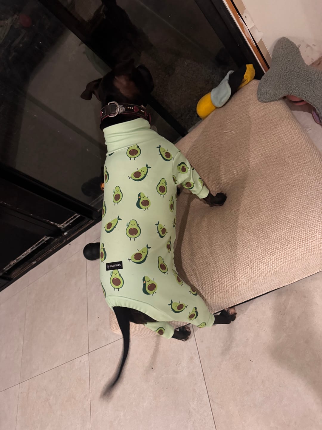 Customer photo review of Dog Pajama - Avocado