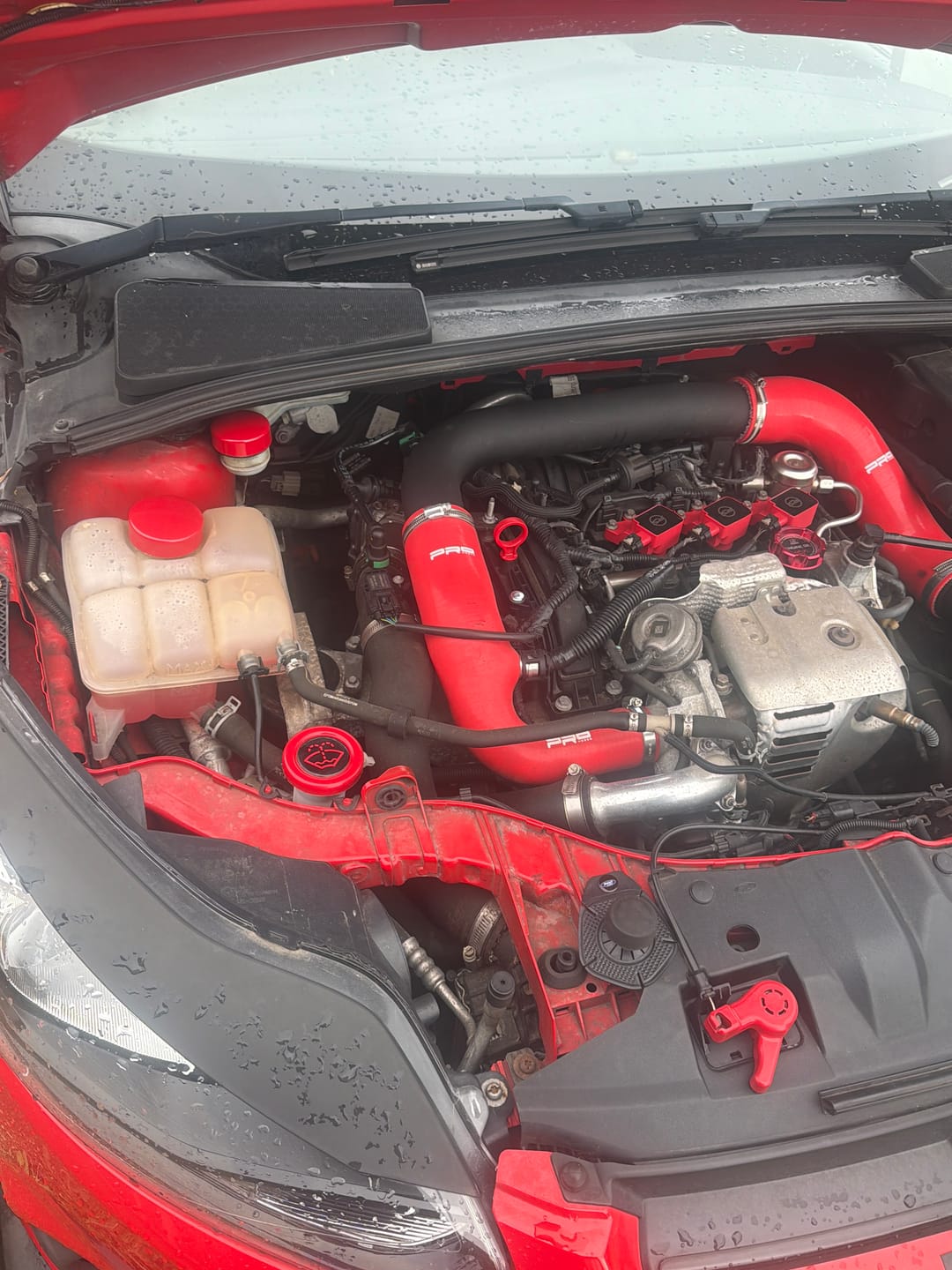 Customer photo review of Proform Washer Bottle Bung Mk3/3.5 Focus (Plastic Finishes)