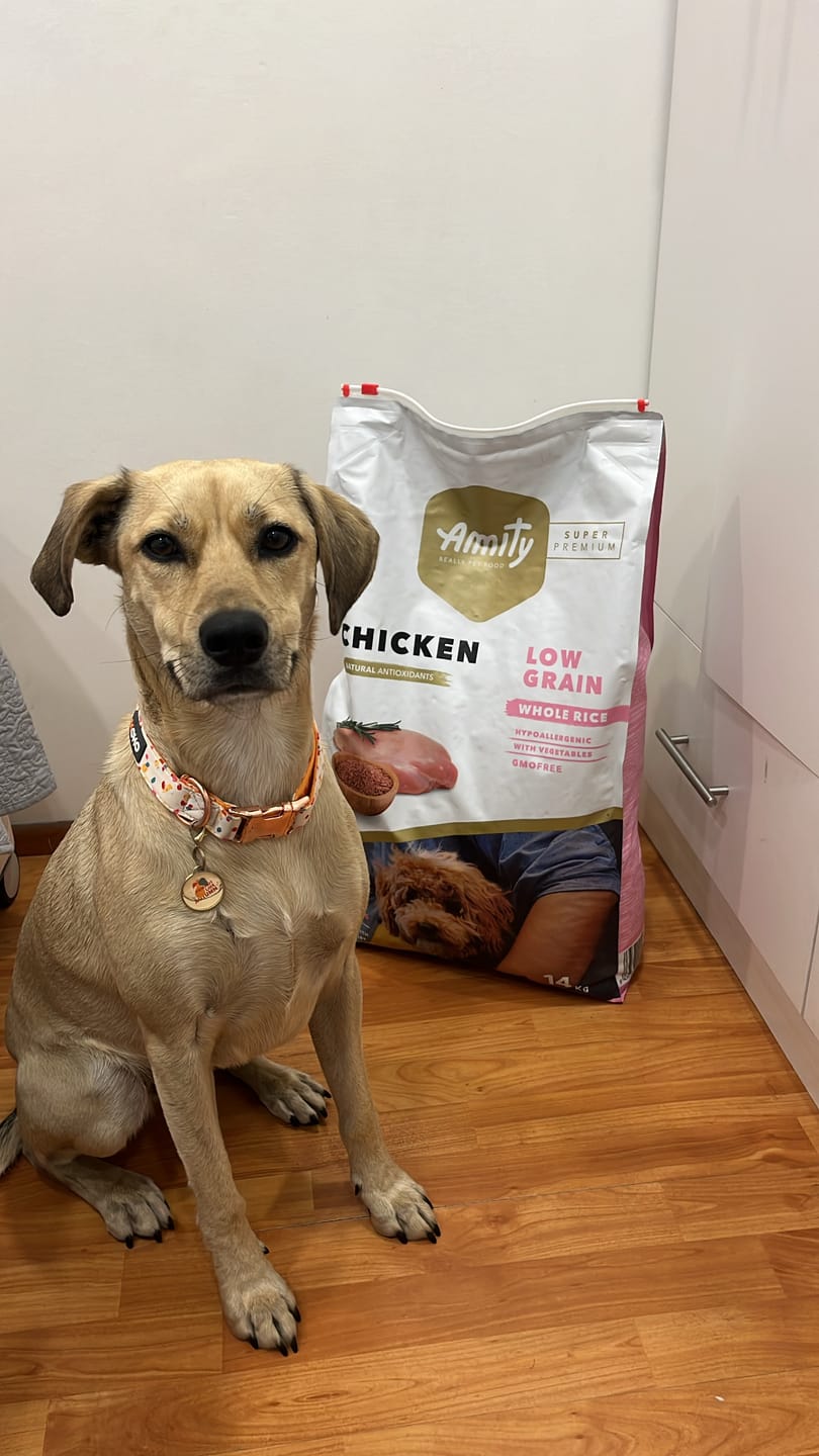 Customer photo review of AMITY POLLO PERRO ADULTO 14KG