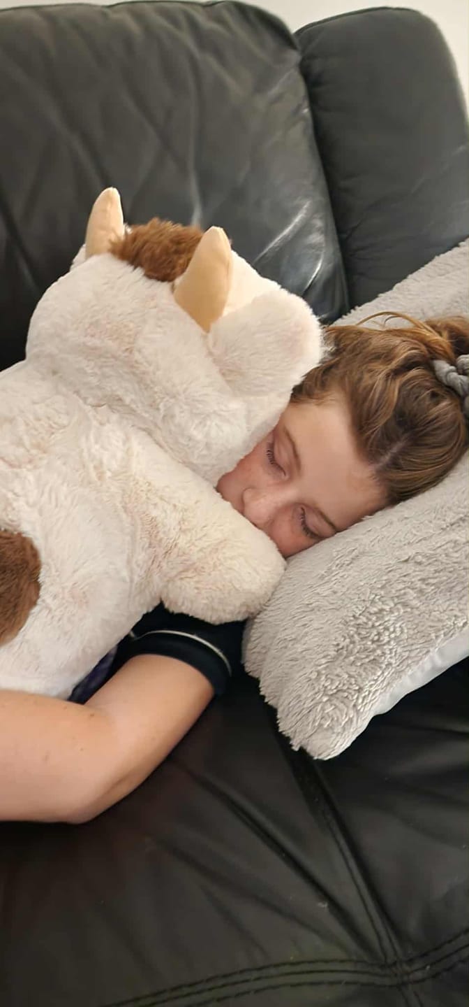 Customer photo review of MeWaii® 5lbs Cow Weighted Stuffed Animal – Microwavable Plush Heating Pad for Removable Inner Pad, Best Gift Kids & Adults