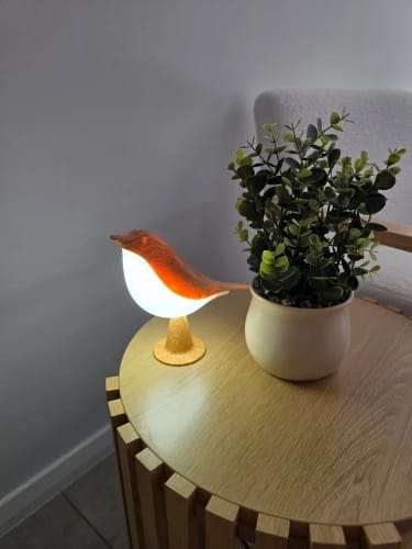 Customer photo review of Glow Bird