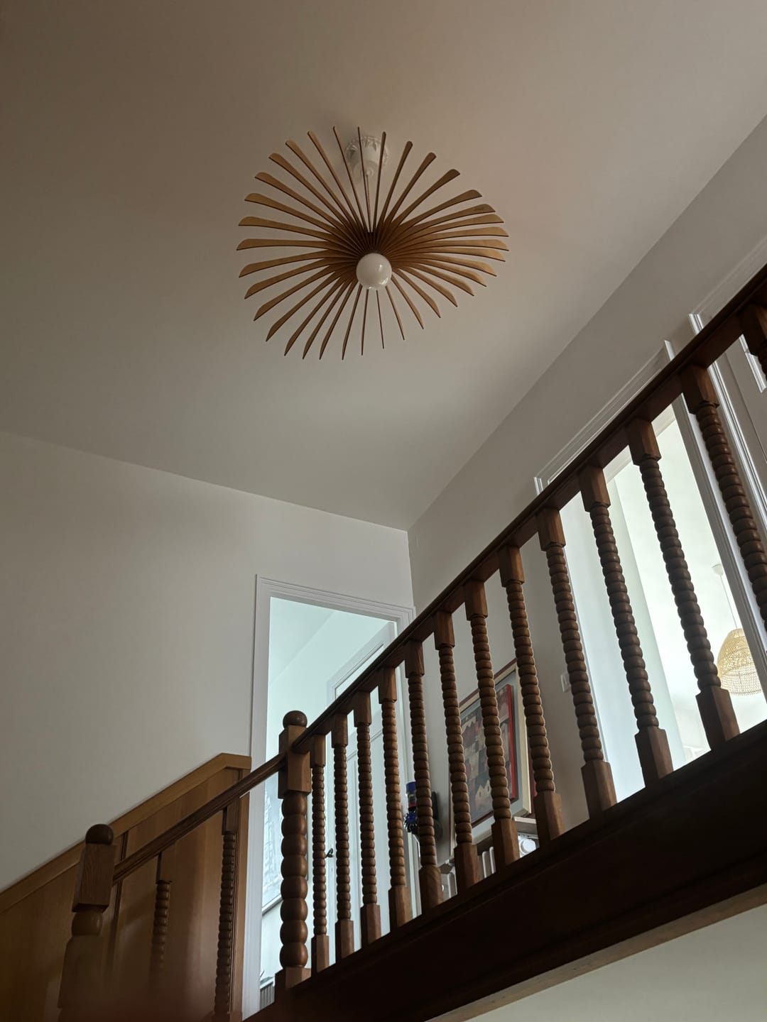 Customer photo review of Aigle teinté Chêne | Suspension