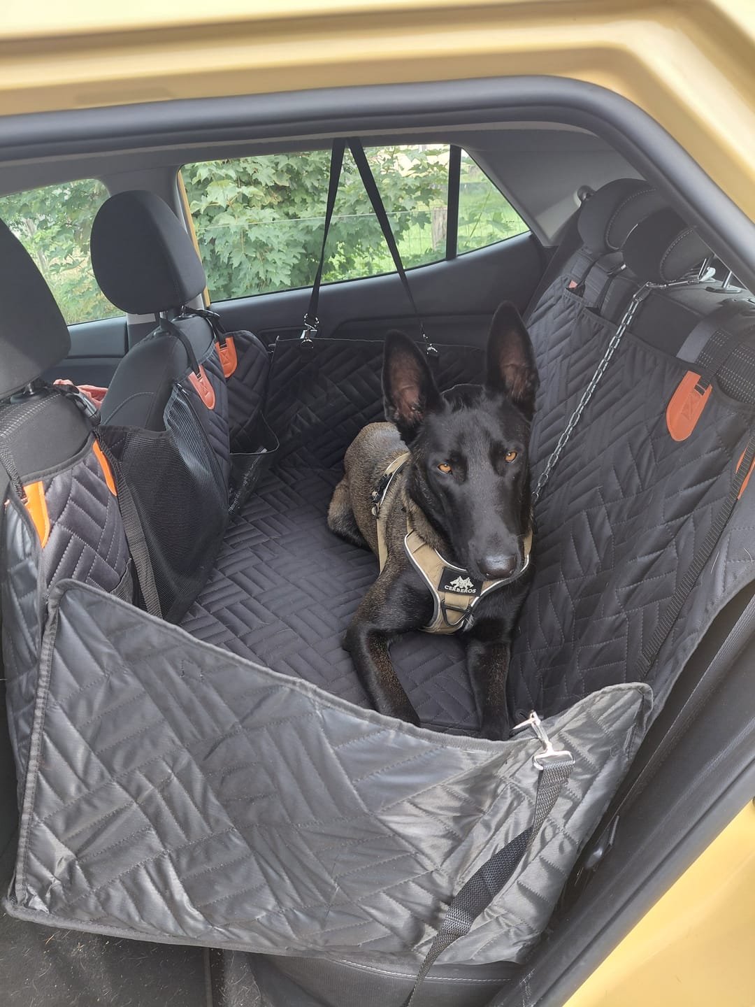 Customer photo review of Housse de voiture pour chien - K9 GuardShield : protection intégrale