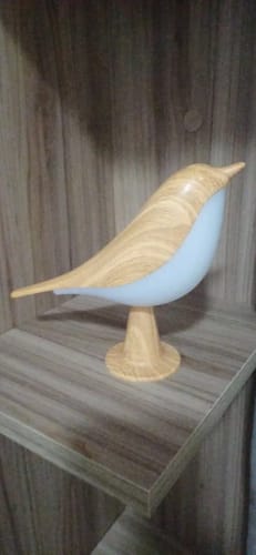 Customer photo review of Glow Bird