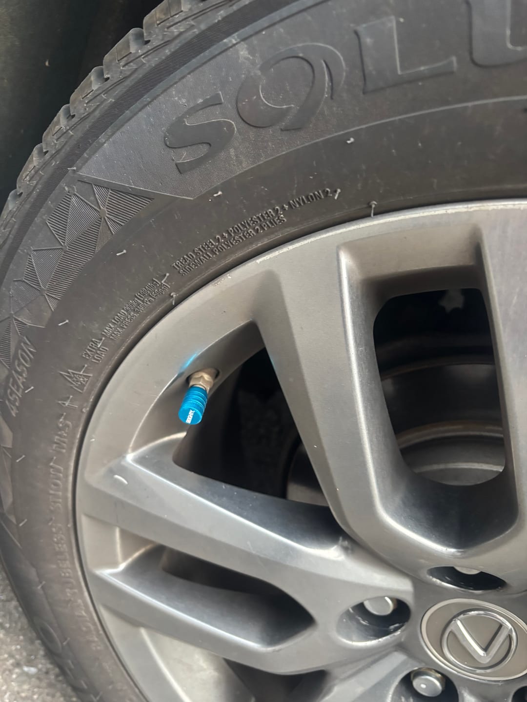 Customer photo review of 80Eighty® Teal Valve Stem Caps
