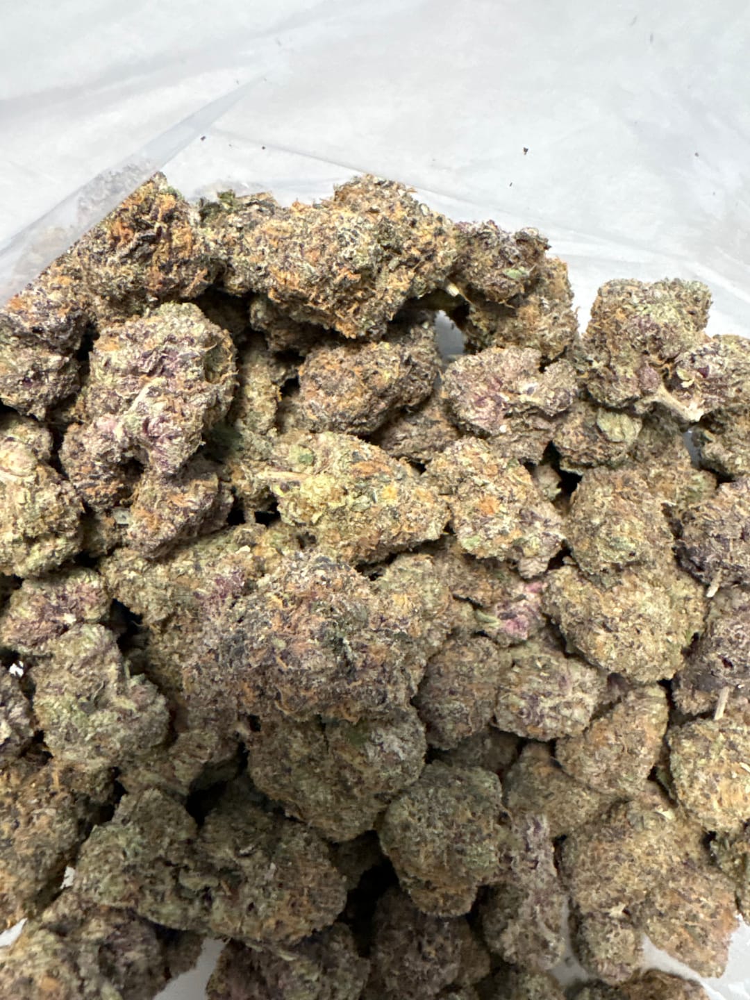 Customer photo review of Zoapz Indoor - Bulk - Hybrid