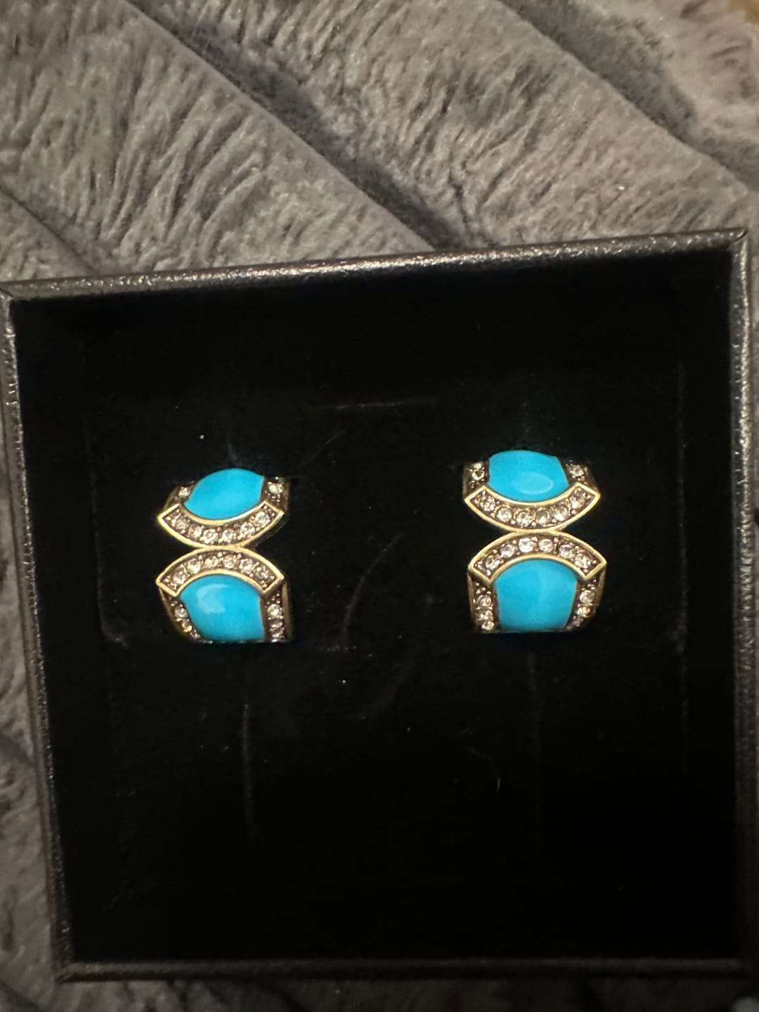 Customer photo review of HEIDI DAUS®"Bar Harbor Elegance" Crystal & Enamel Modern Hoop Earring