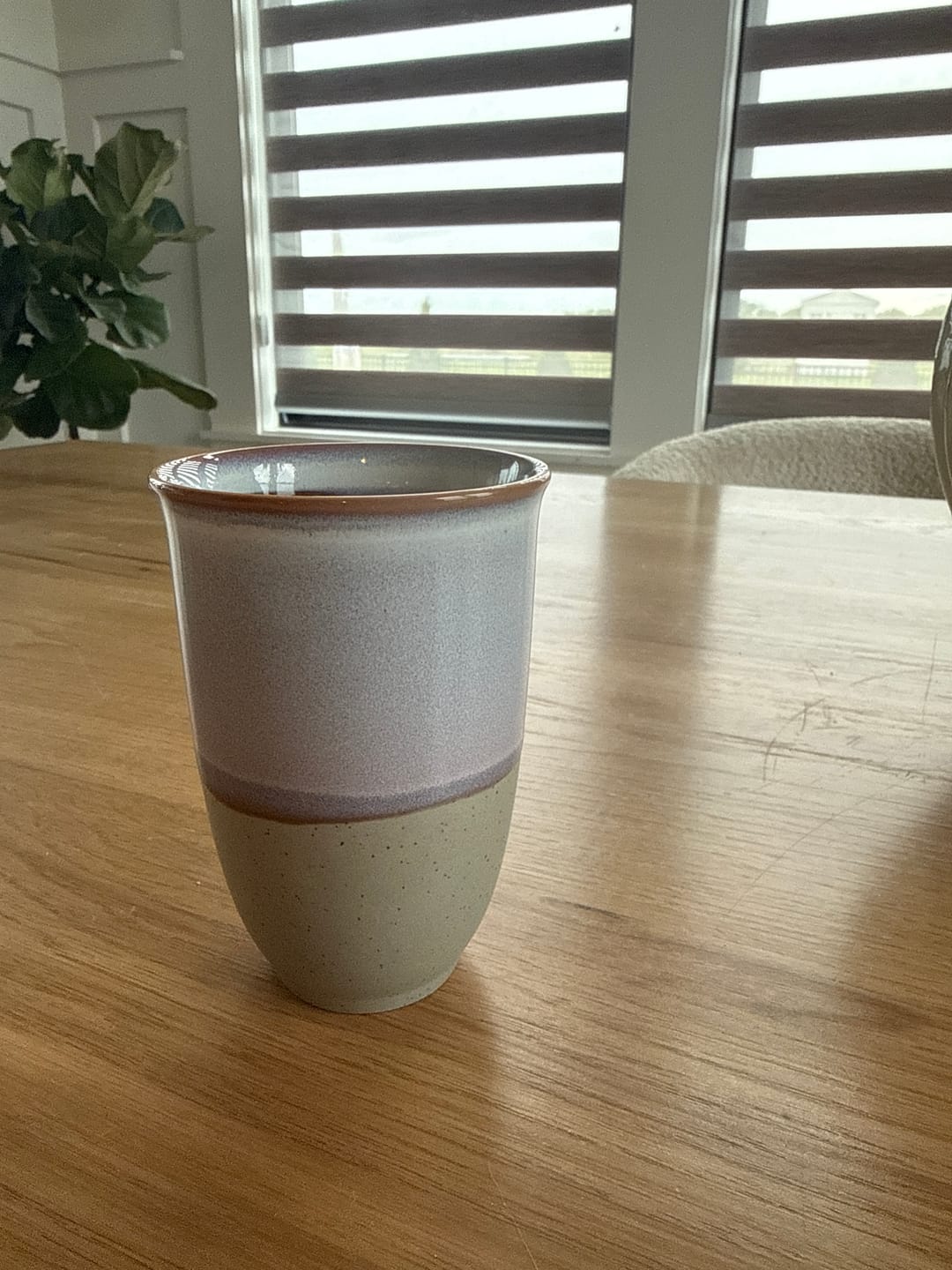 Customer photo review of Horizon Cup 12oz