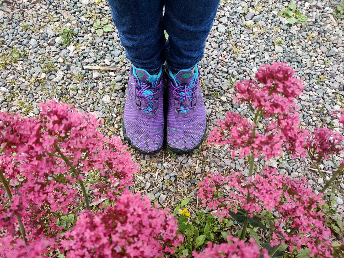 Customer photo review of Free Ⅰ - Barefoot Chaussures